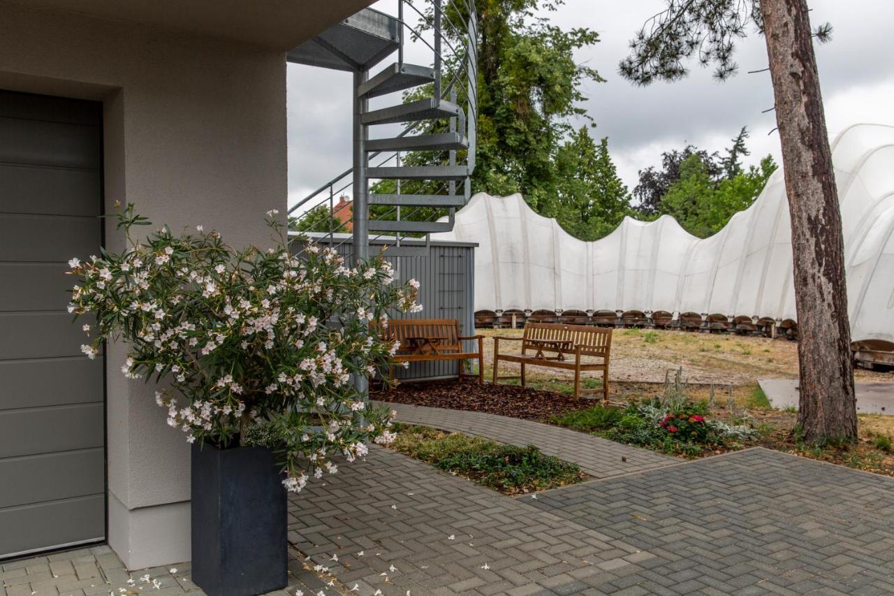 Dessau-Rosslau Appartements Am Bauhaus מראה חיצוני תמונה